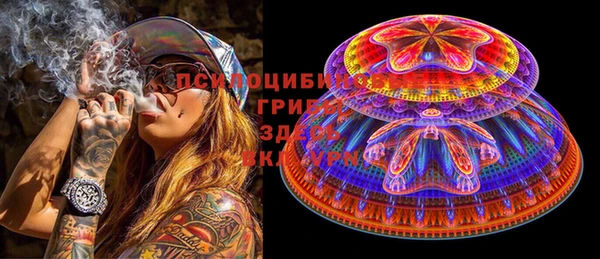 кокс Бородино
