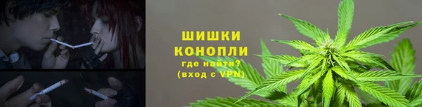 кокс Бородино