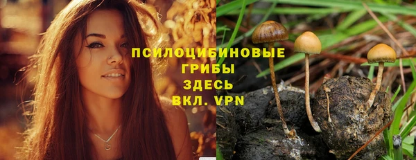 кокс Бородино
