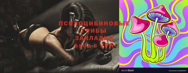 дживик Бугульма