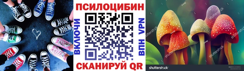 сколько стоит  Красногорск  Псилоцибиновые грибы Magic Shrooms 